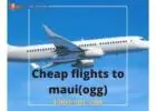 Affordable Adventures: Your Guide to Cheap Flights to Maui 