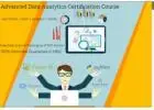 Data Analytics Course in Delhi.110065. Best Online Data Analyst Training in Lucknow by IIT 