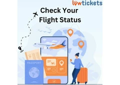 Quick Guide to Checking Your Flight Status