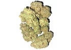 Buy Cheap Weed Online in Canada from Elitedispensary.co